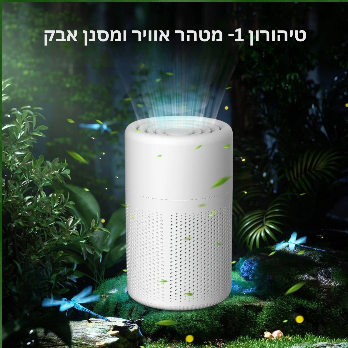 טיהורון 1
